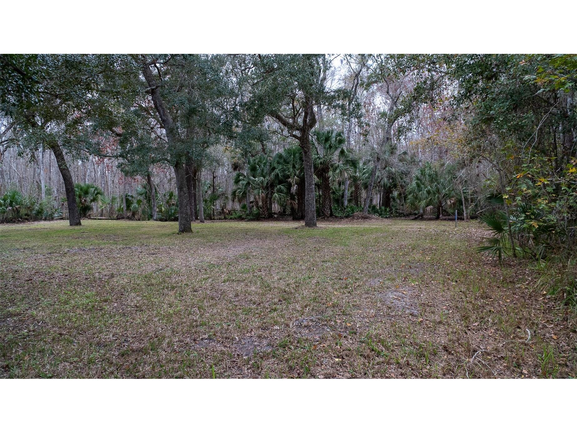 155 Fran Lane Satsuma FL 32189 - DUNNS CREEK FC315730 image4