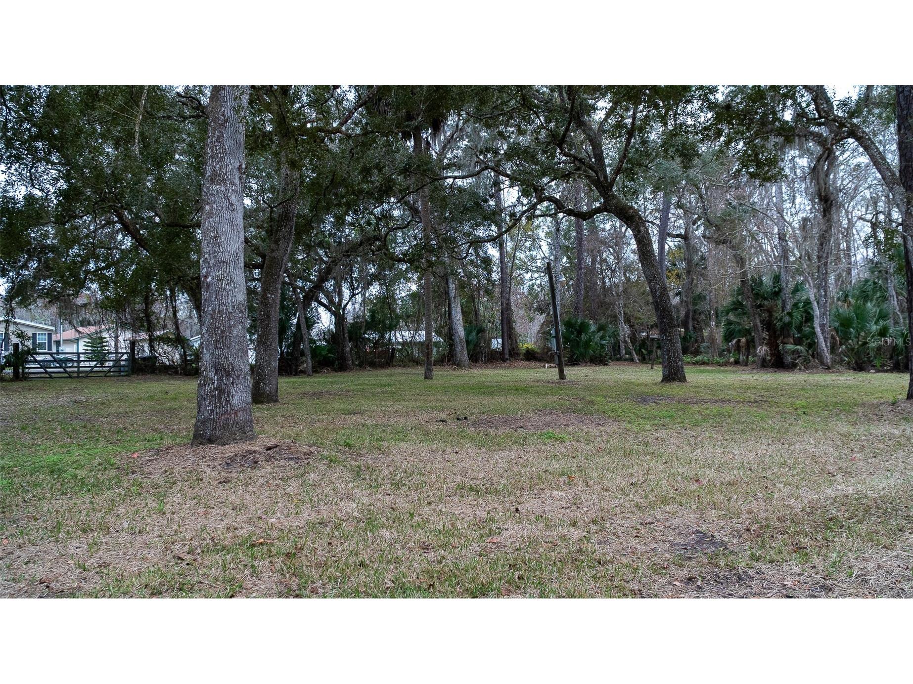 155 Fran Lane Satsuma FL 32189 - DUNNS CREEK FC315730 image5