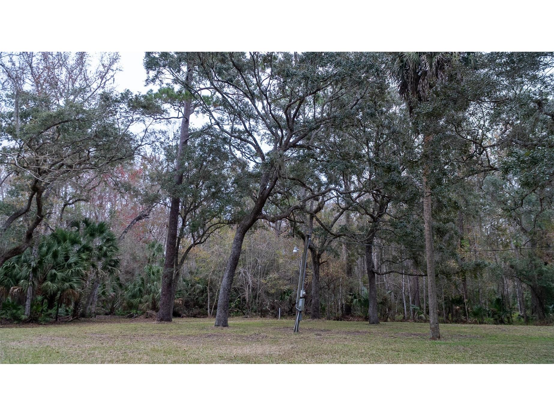 155 Fran Lane Satsuma FL 32189 - DUNNS CREEK FC315730 image7