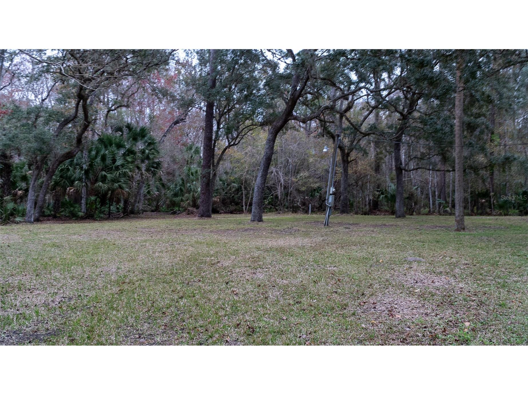 155 Fran Lane Satsuma FL 32189 - DUNNS CREEK FC315730 image8