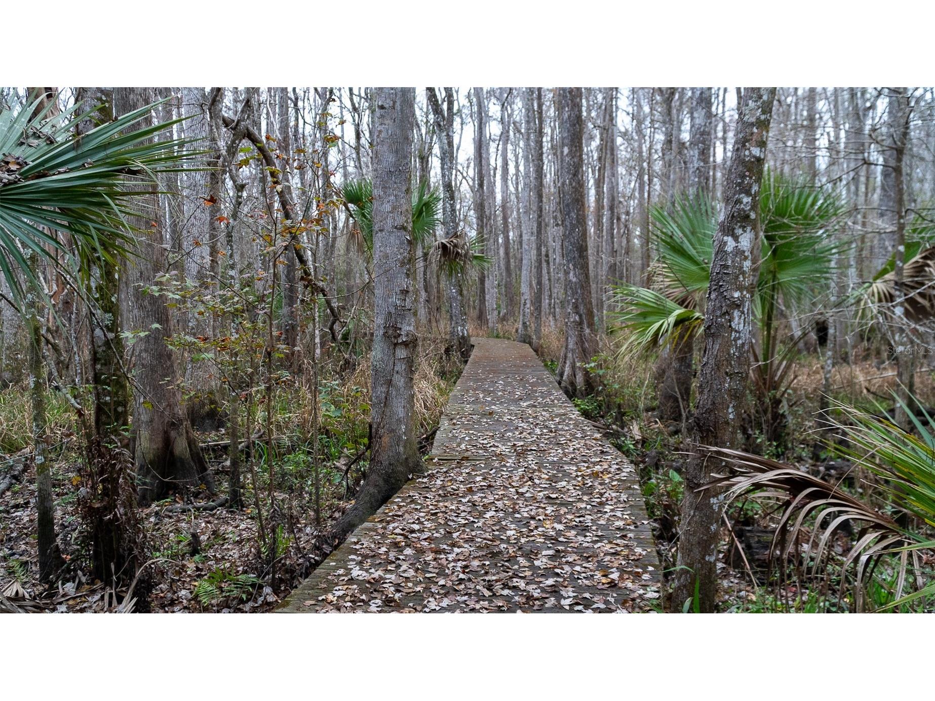 155 Fran Lane Satsuma FL 32189 - DUNNS CREEK FC315730 image9
