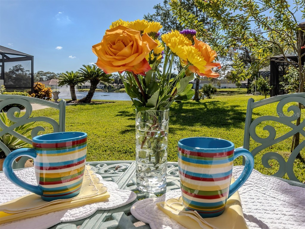 155 Grand Oak Circle Venice FL 34292 N6141565 image16