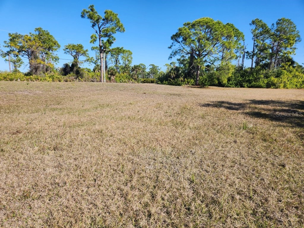 155 Jade Street Rotonda West FL 33947 D6140125 image5