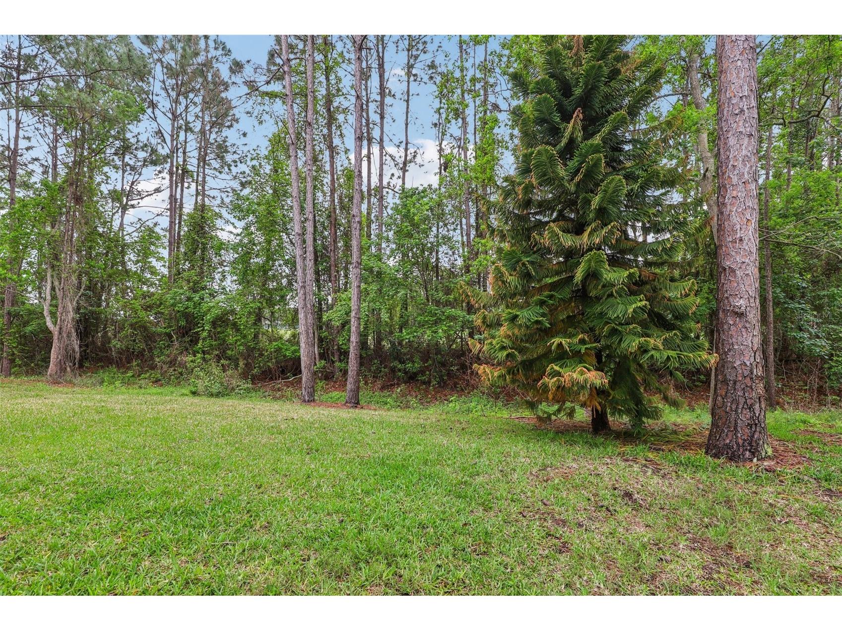 155 Legendary Drive #302 Saint Augustine FL 32092 FC317634 image31