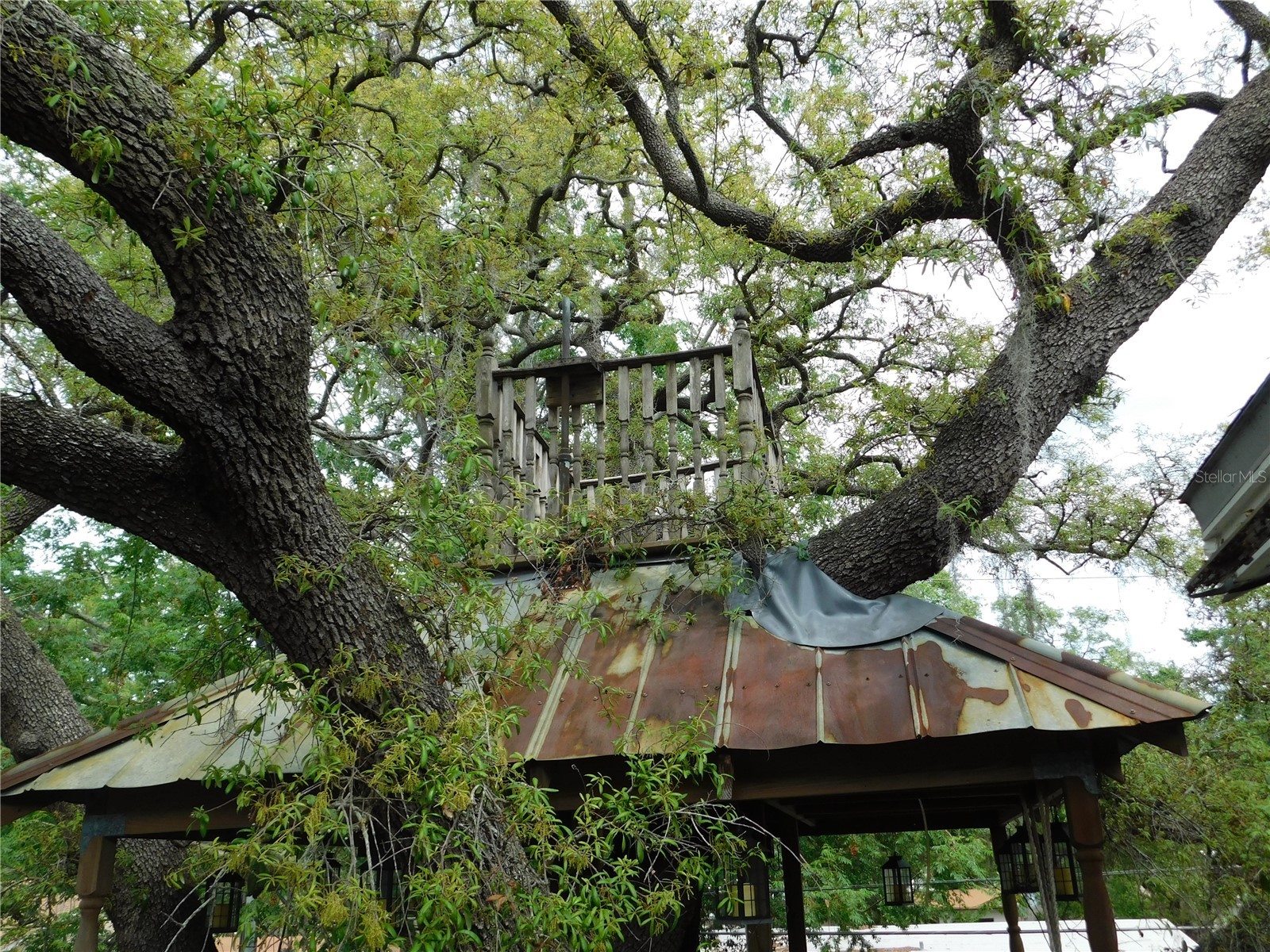 155 Marshall Street Safety Harbor FL 34695 TB8494652 image39