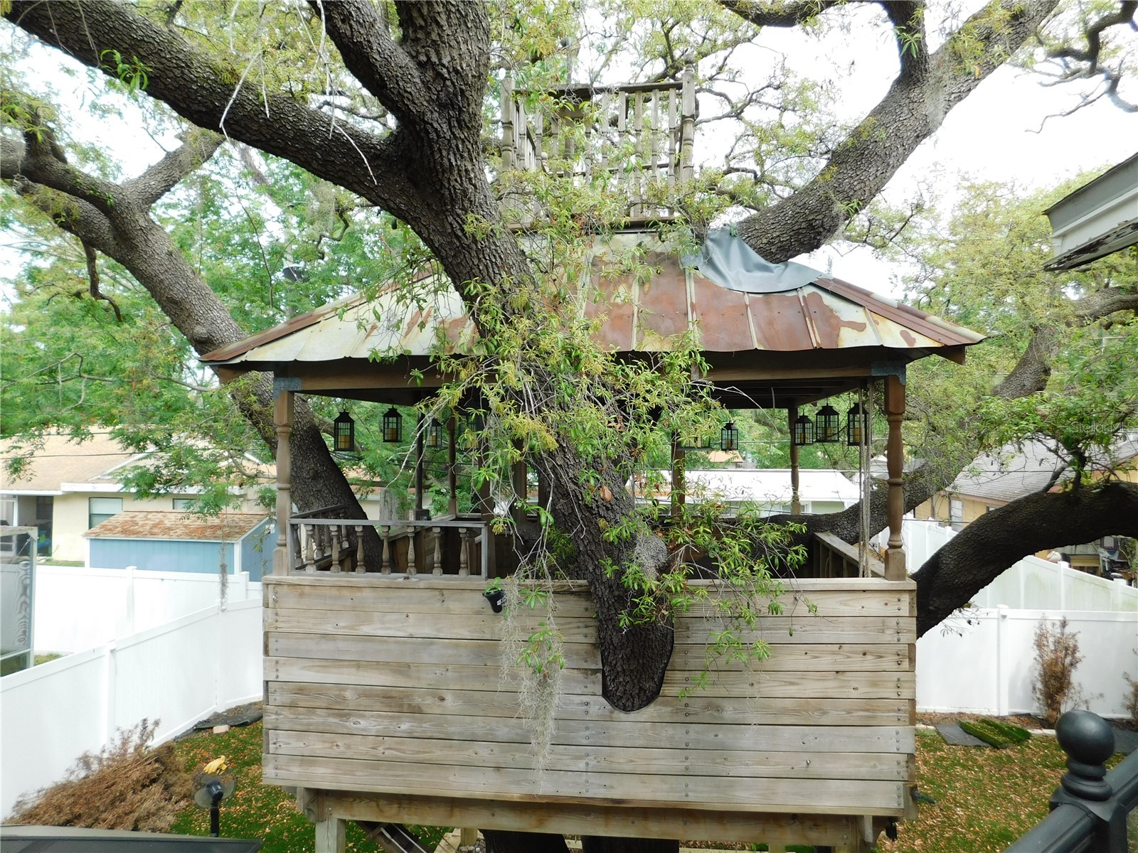 155 Marshall Street Safety Harbor FL 34695 TB8494652 image40