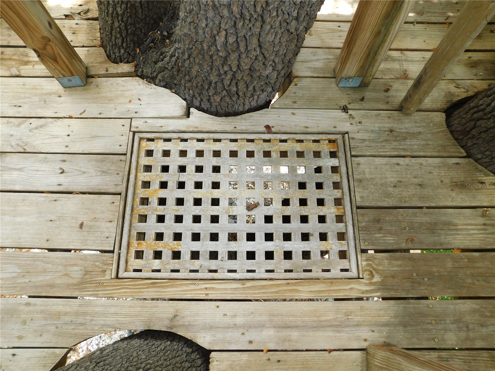 155 Marshall Street Safety Harbor FL 34695 TB8494652 image47