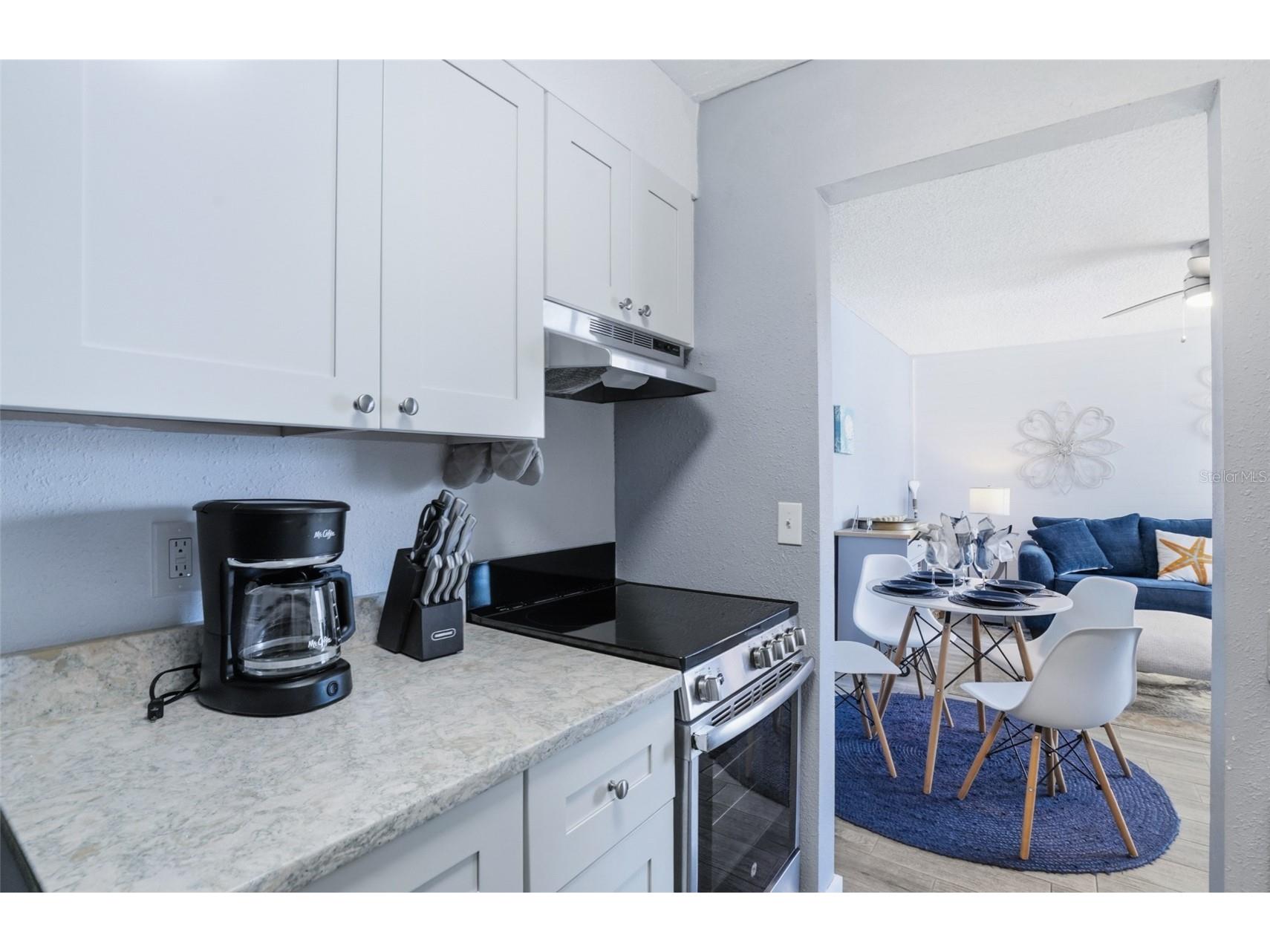 155 Medallion Boulevard #E Madeira Beach FL 33708 TB8506686 image16