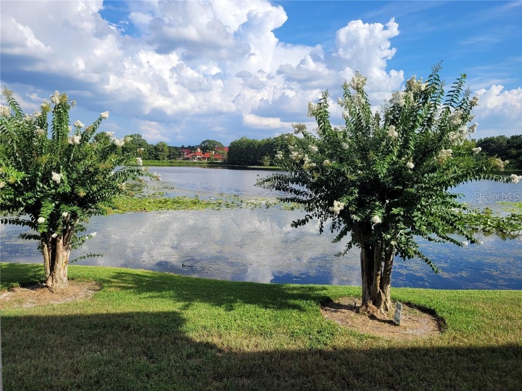 155 N Pearl Lake Causeway #200 Altamonte Springs FL 32714 - Pearl Lake O6337917 image18