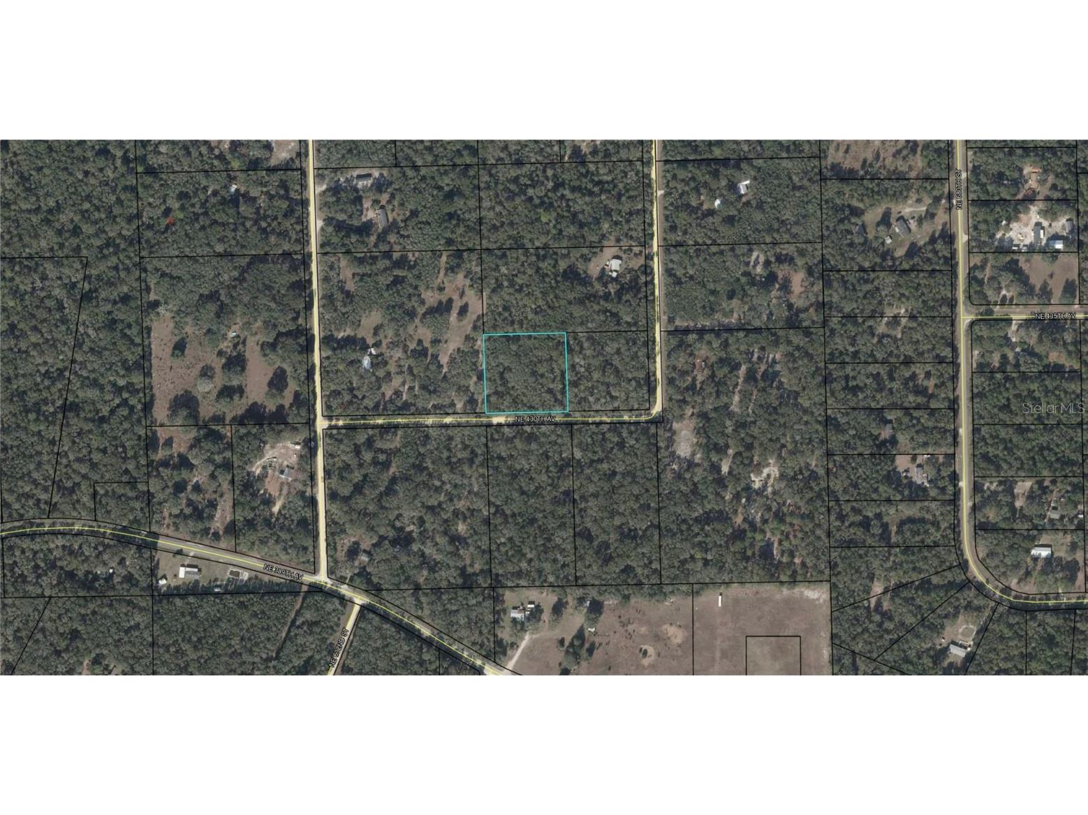 155 NE 430th Avenue Cross City FL 32628 O6147862 image1