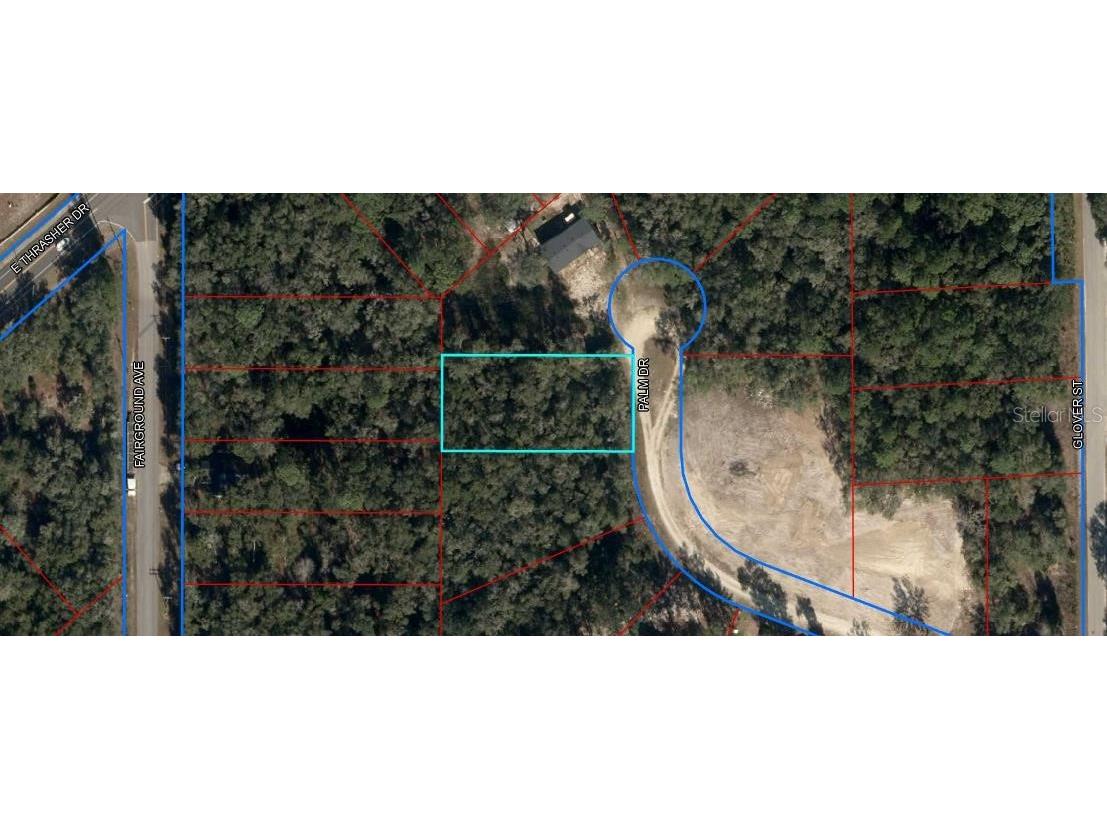 155 Palm Drive Bronson FL 32621 OM696395 image1