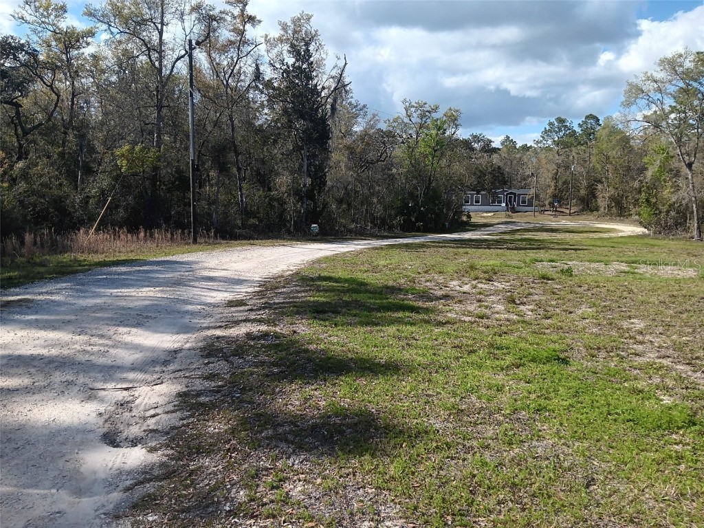 155 Palm Drive Bronson FL 32621 OM696395 image7