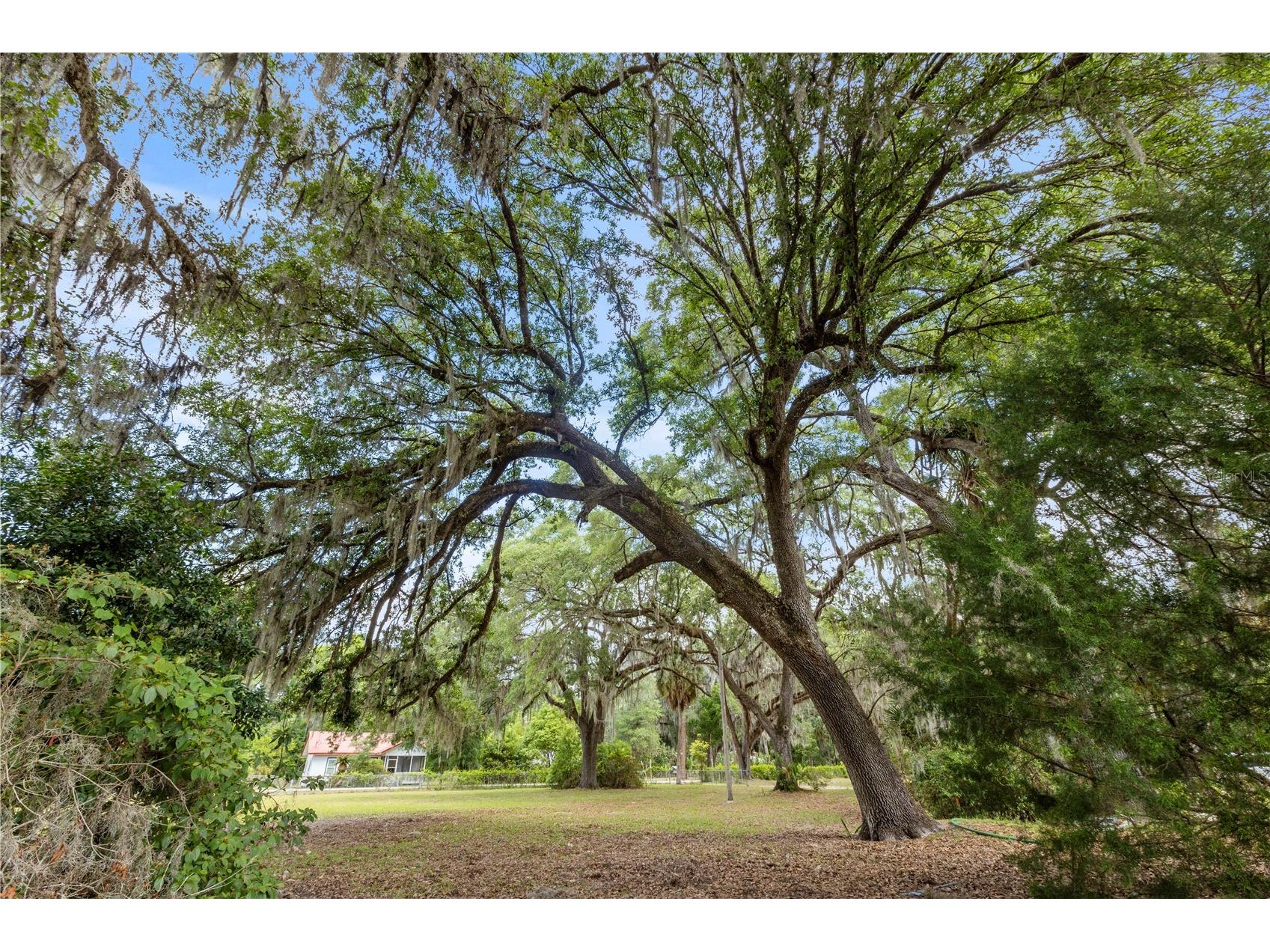 155 Roddy Road Palatka FL 32177 FC318309 image37