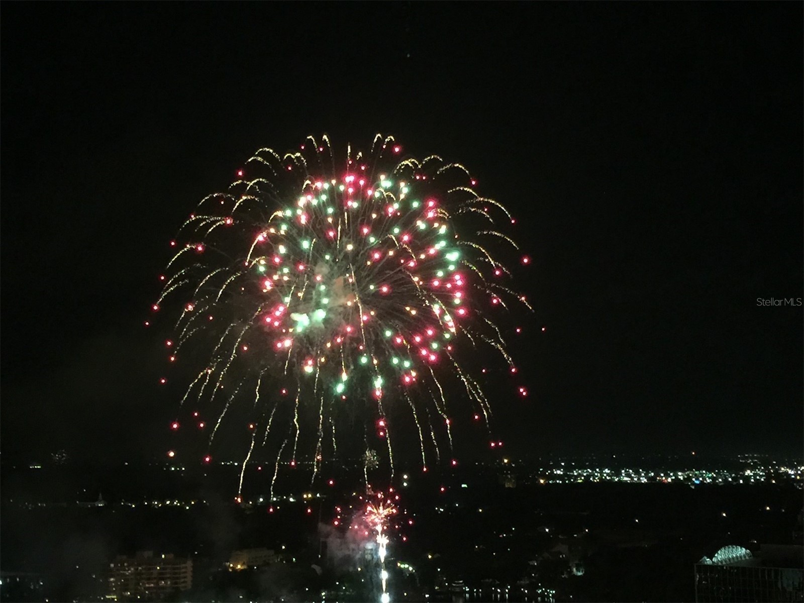 155 S Court Avenue #1013 Orlando FL 32801 - LAKE EOLA O6388895 image19