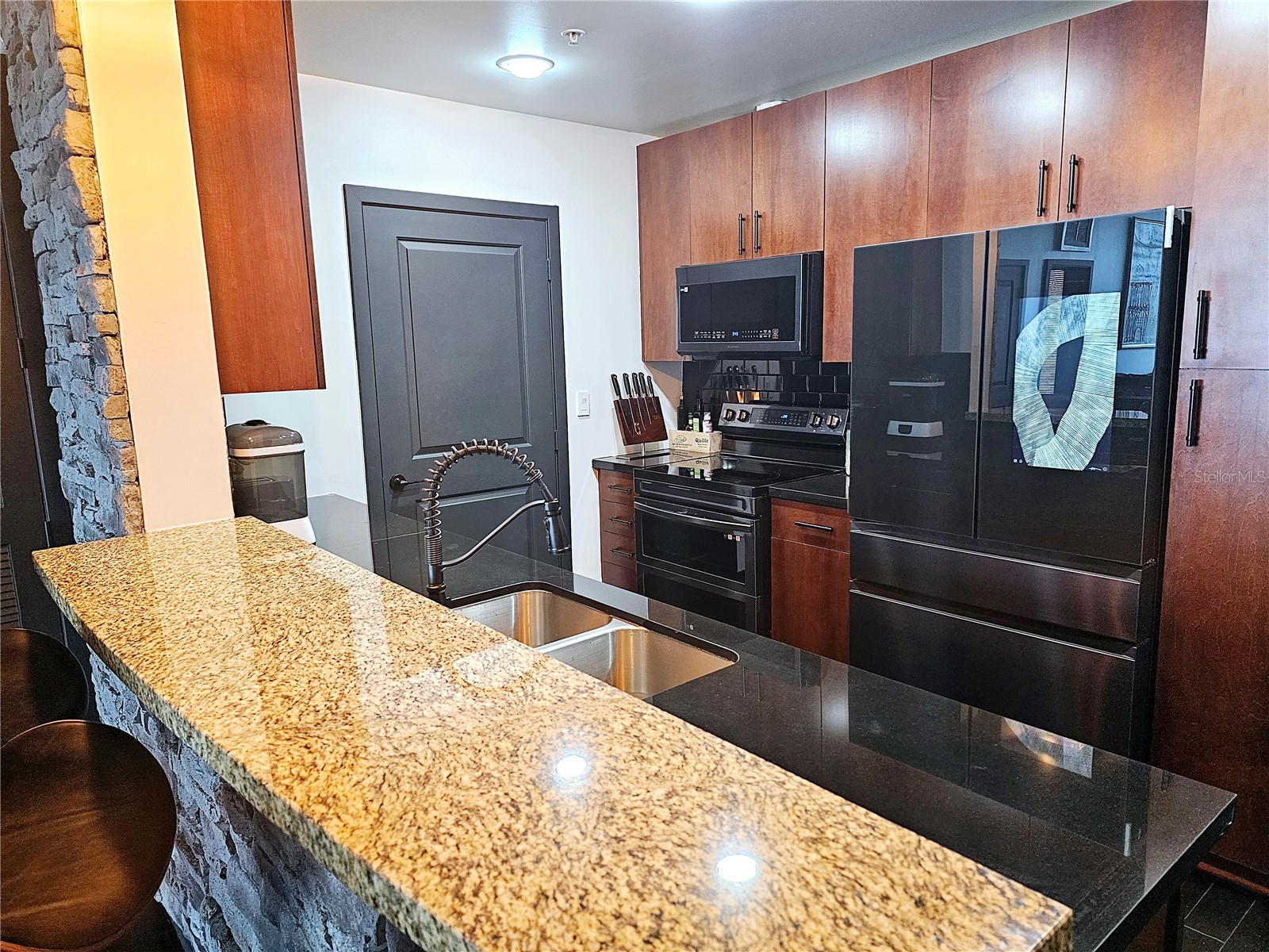 155 S Court Avenue #1605 Orlando FL 32801 R4911031 image4