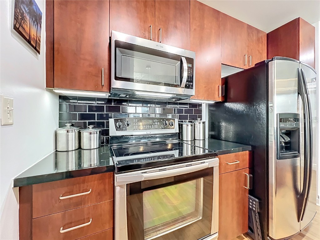 155 S Court Avenue #2005 Orlando FL 32801 O6330773 image11