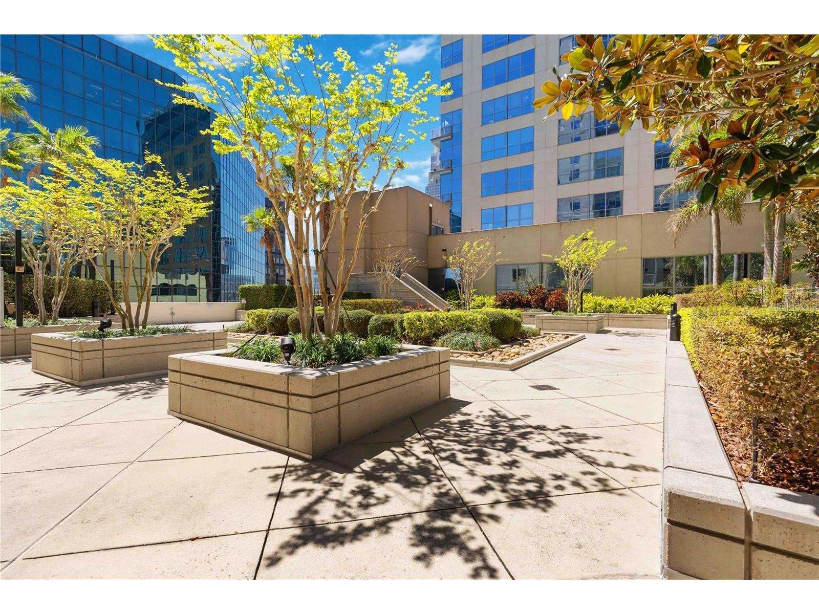 155 S Court Avenue #2710 Orlando FL 32801 O6379687 image29