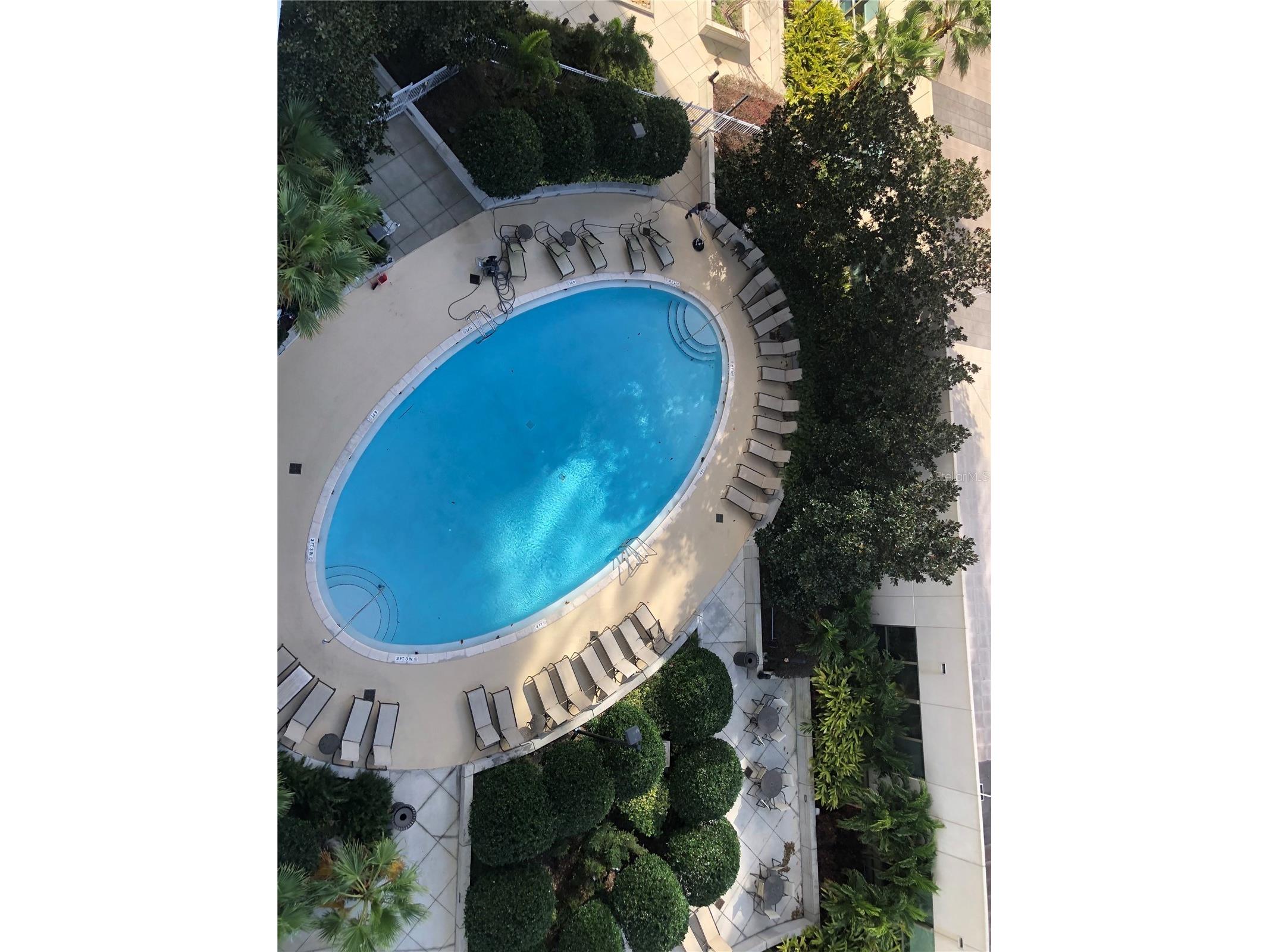 155 S Court Avenue #2903 Orlando FL 32801 O6389852 image42