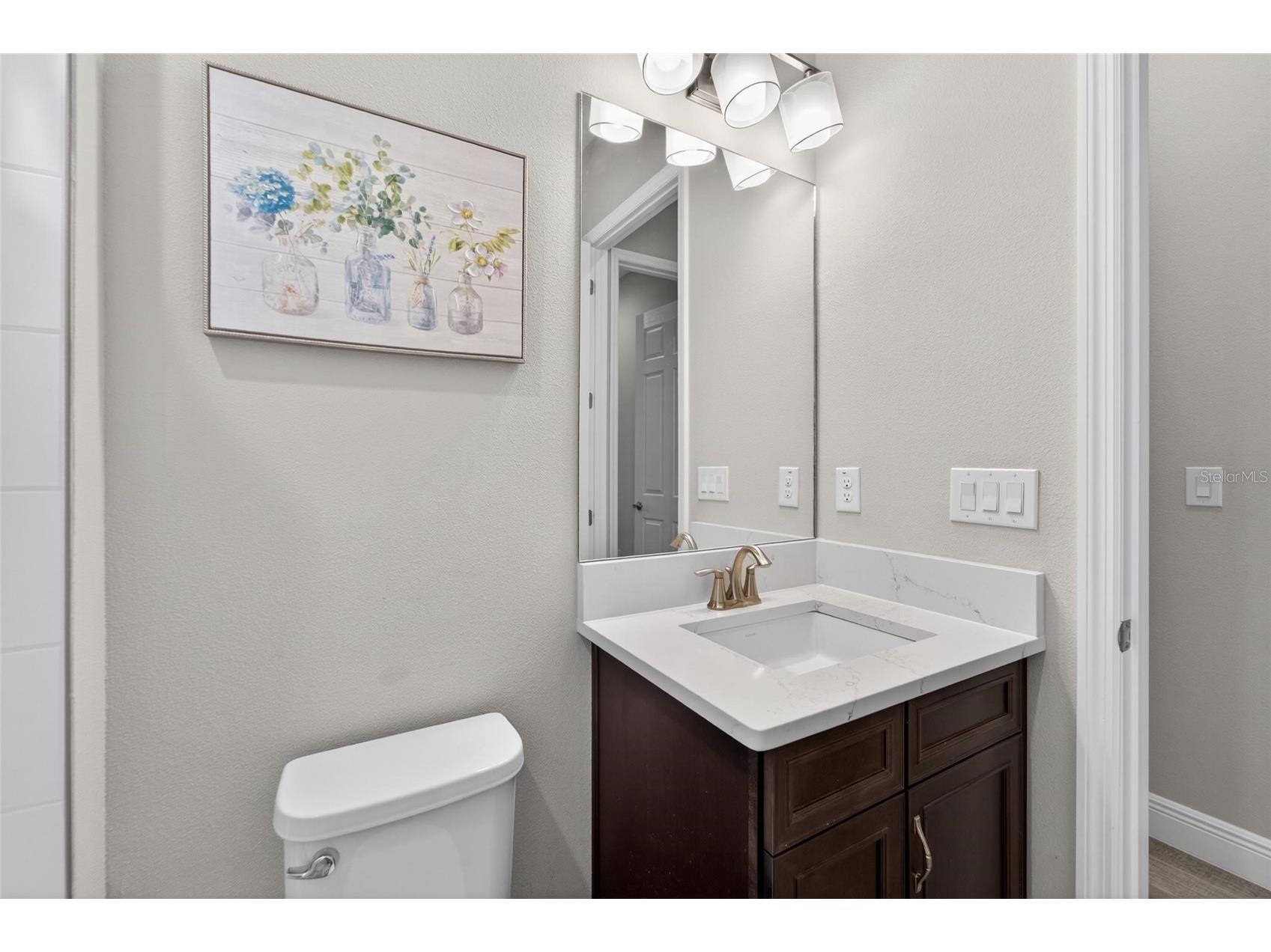 155 Sabal Breeze Court Brandon FL 33511 TB8512721 image72