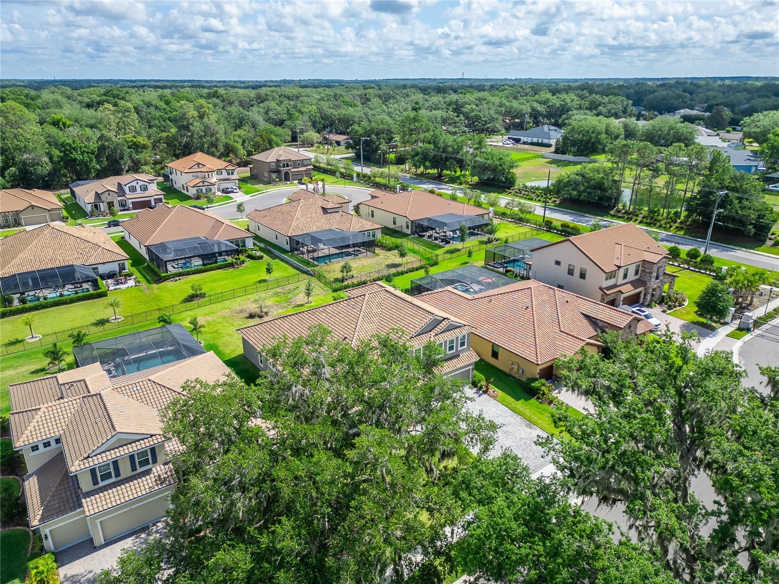 155 Sabal Breeze Court Brandon FL 33511 TB8512721 image94