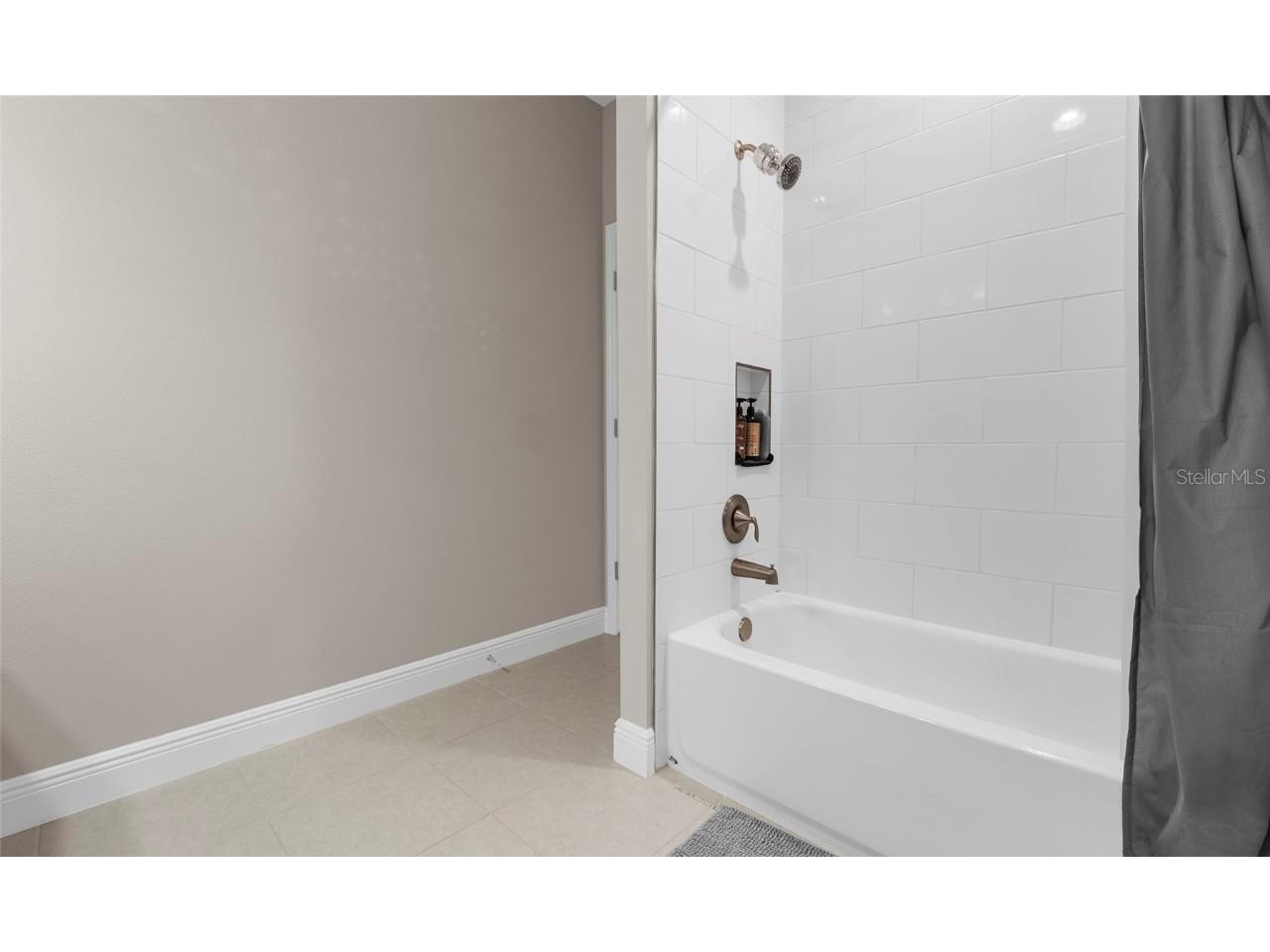 155 Sabal Breeze Court Brandon FL 33511 W7880754 image41