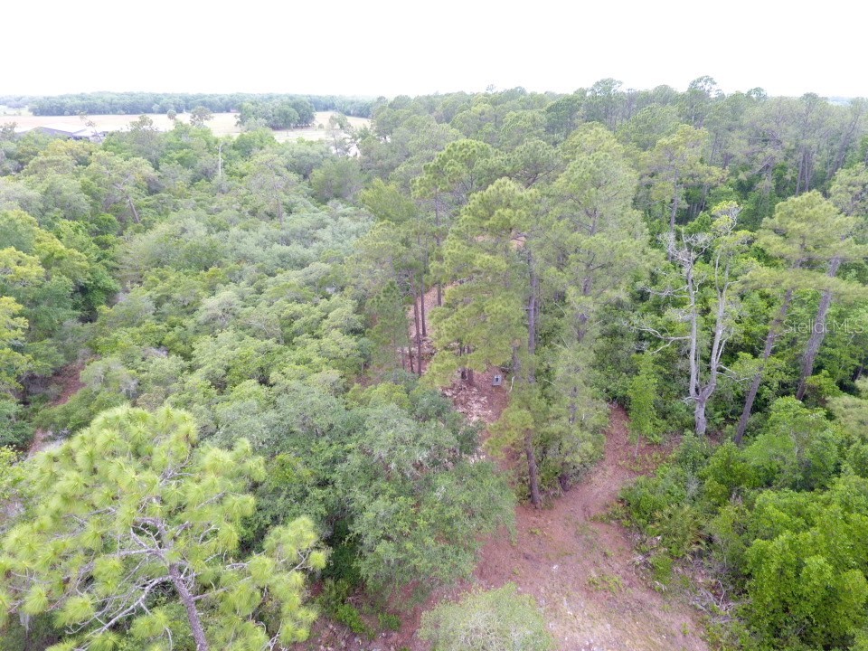 155 Snake Hill Road Pomona Park FL 32181 V4948570 image1
