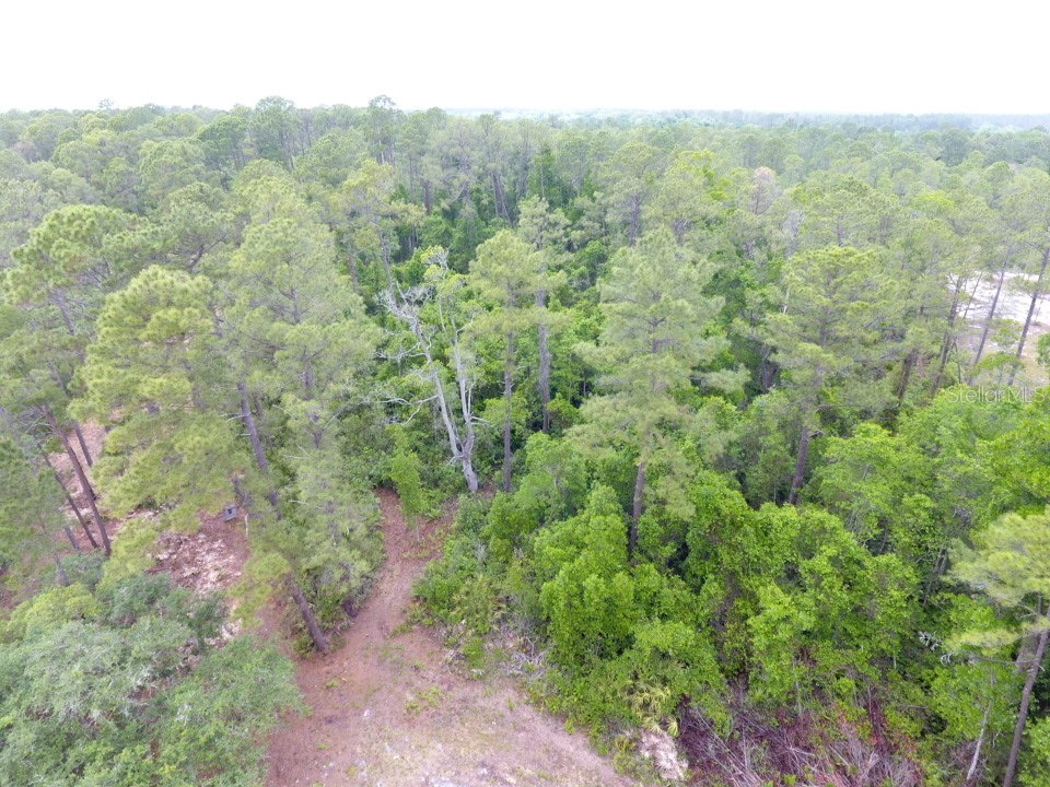 155 Snake Hill Road Pomona Park FL 32181 V4948570 image6