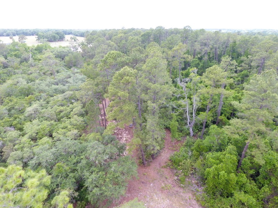 155 Snake Hill Road Pomona Park FL 32181 V4948570 image7