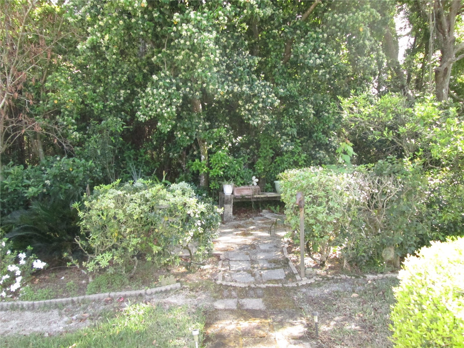 155 Village Lane Daytona Beach FL 32119 V4948226 image23