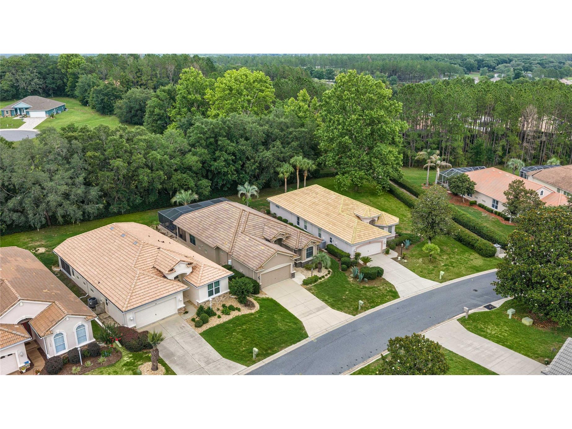 155 W Doerr Path Hernando FL 34442 OM728248 image61