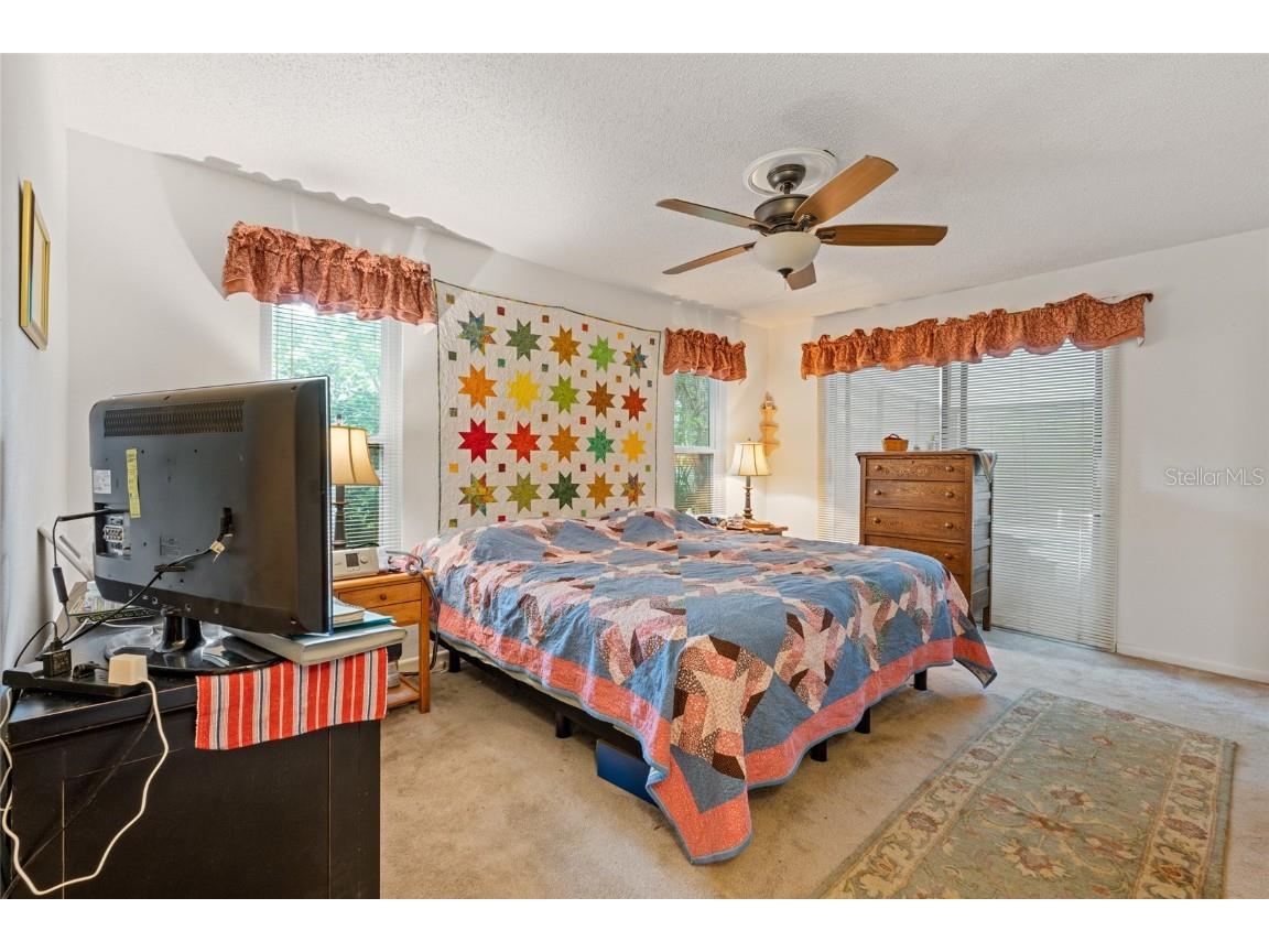 155 Woodcutter Lane Palm Harbor FL 34683 TB8405699 image17