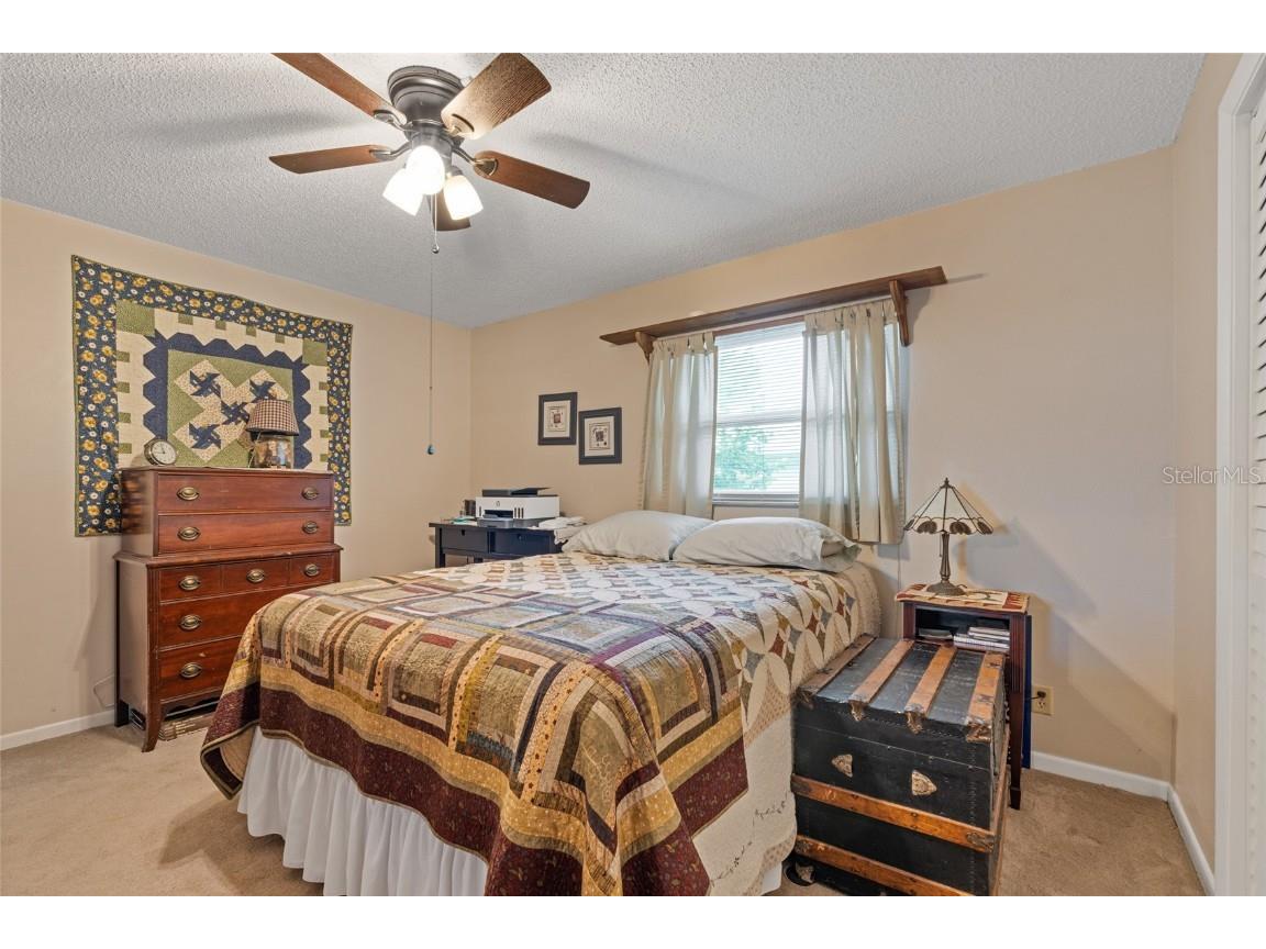 155 Woodcutter Lane Palm Harbor FL 34683 TB8405699 image22