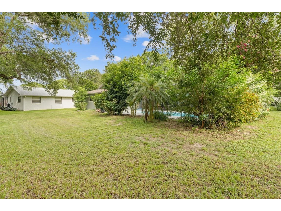 155 Woodcutter Lane Palm Harbor FL 34683 TB8405699 image36