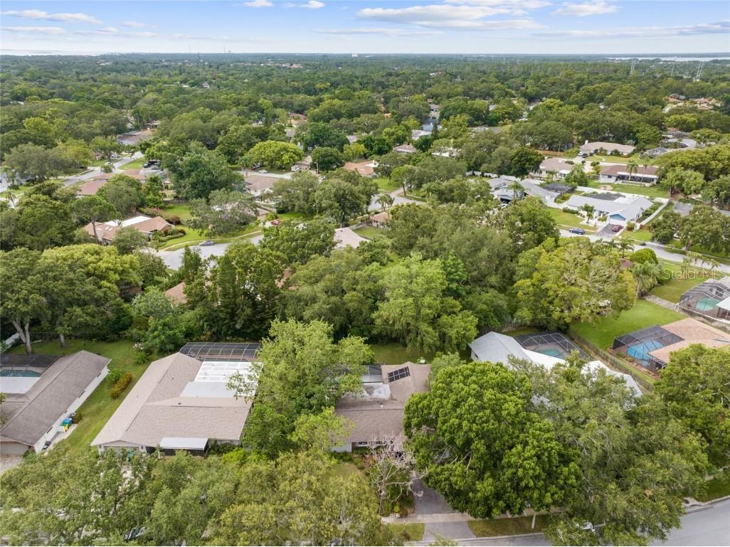 155 Woodcutter Lane Palm Harbor FL 34683 TB8405699 image41