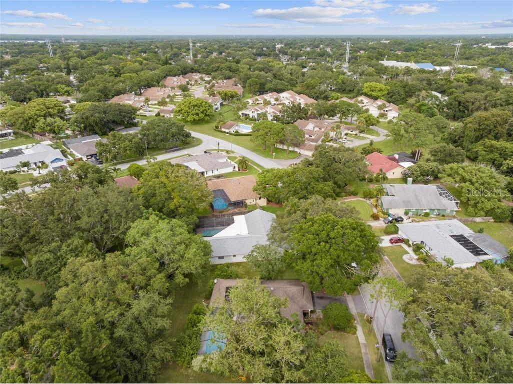 155 Woodcutter Lane Palm Harbor FL 34683 TB8405699 image42