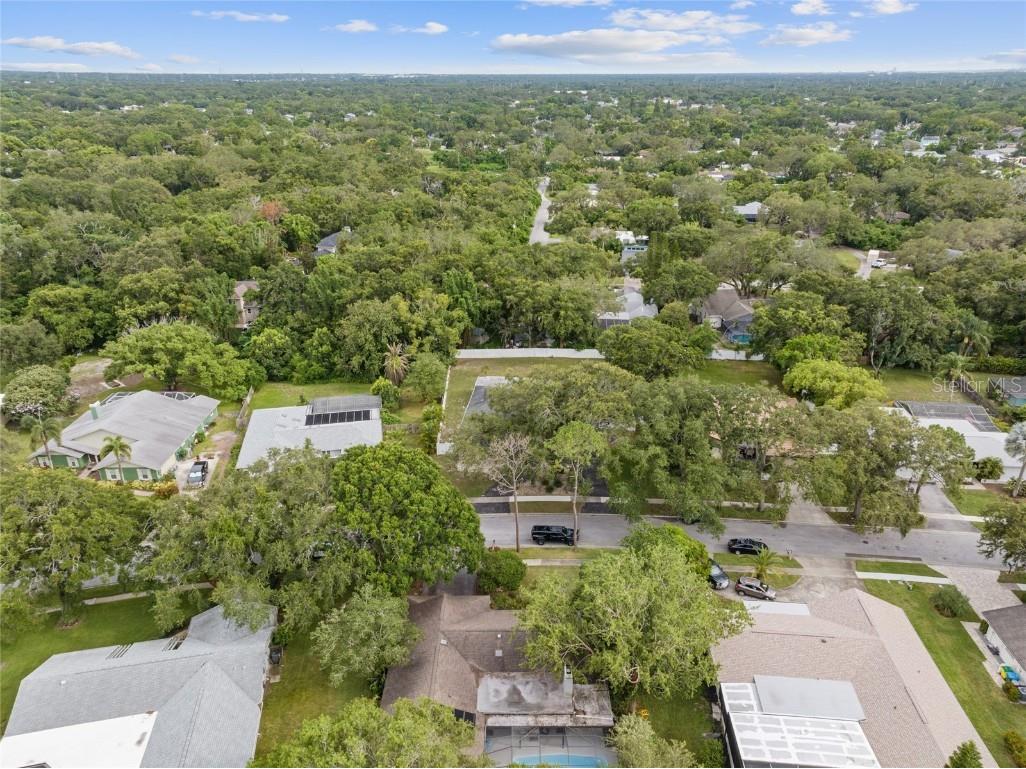 155 Woodcutter Lane Palm Harbor FL 34683 TB8405699 image43