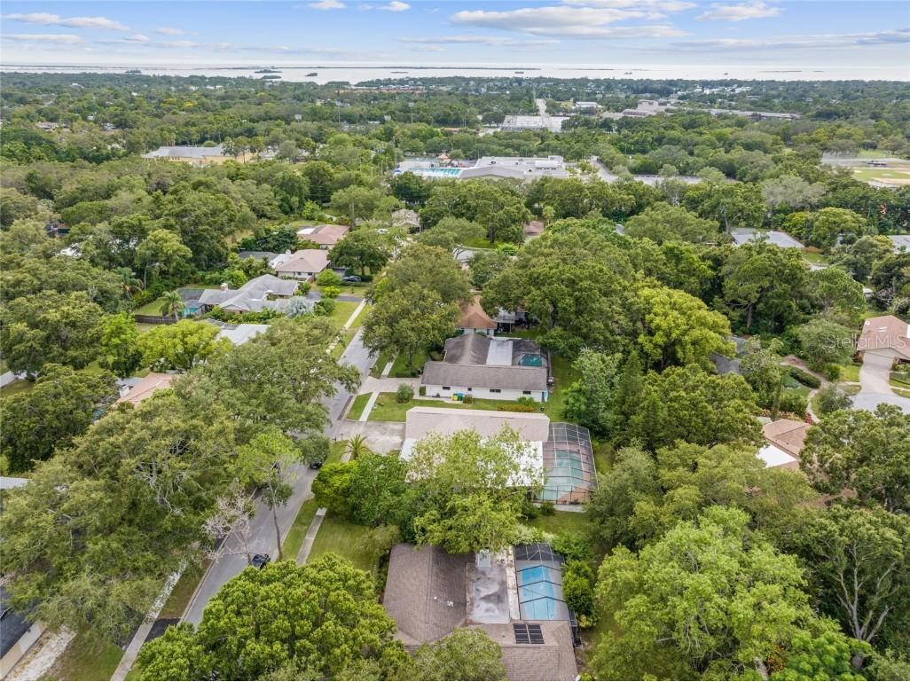 155 Woodcutter Lane Palm Harbor FL 34683 TB8405699 image44