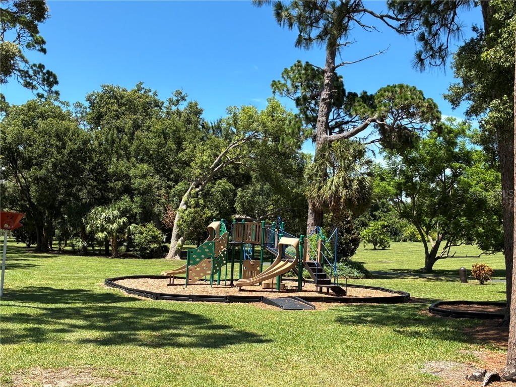 155 Woodcutter Lane Palm Harbor FL 34683 TB8405699 image45