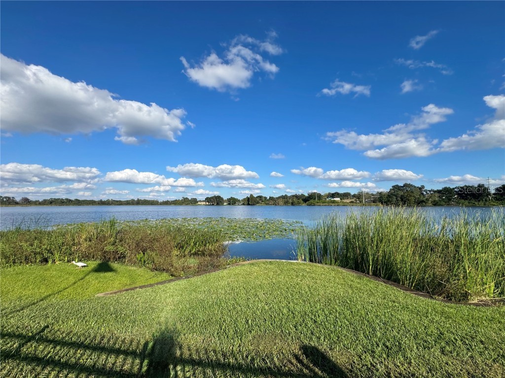 1550 11th Street NE #D7 Winter Haven FL 33881 - LAKE BUCKEYE P4936727 image33