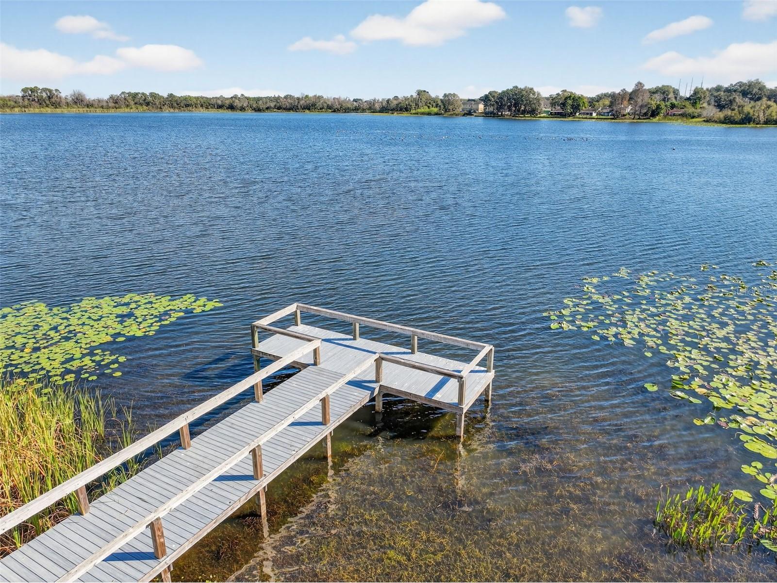 1550 11th Street NE #D7 Winter Haven FL 33881 - LAKE BUCKEYE P4937703 image36