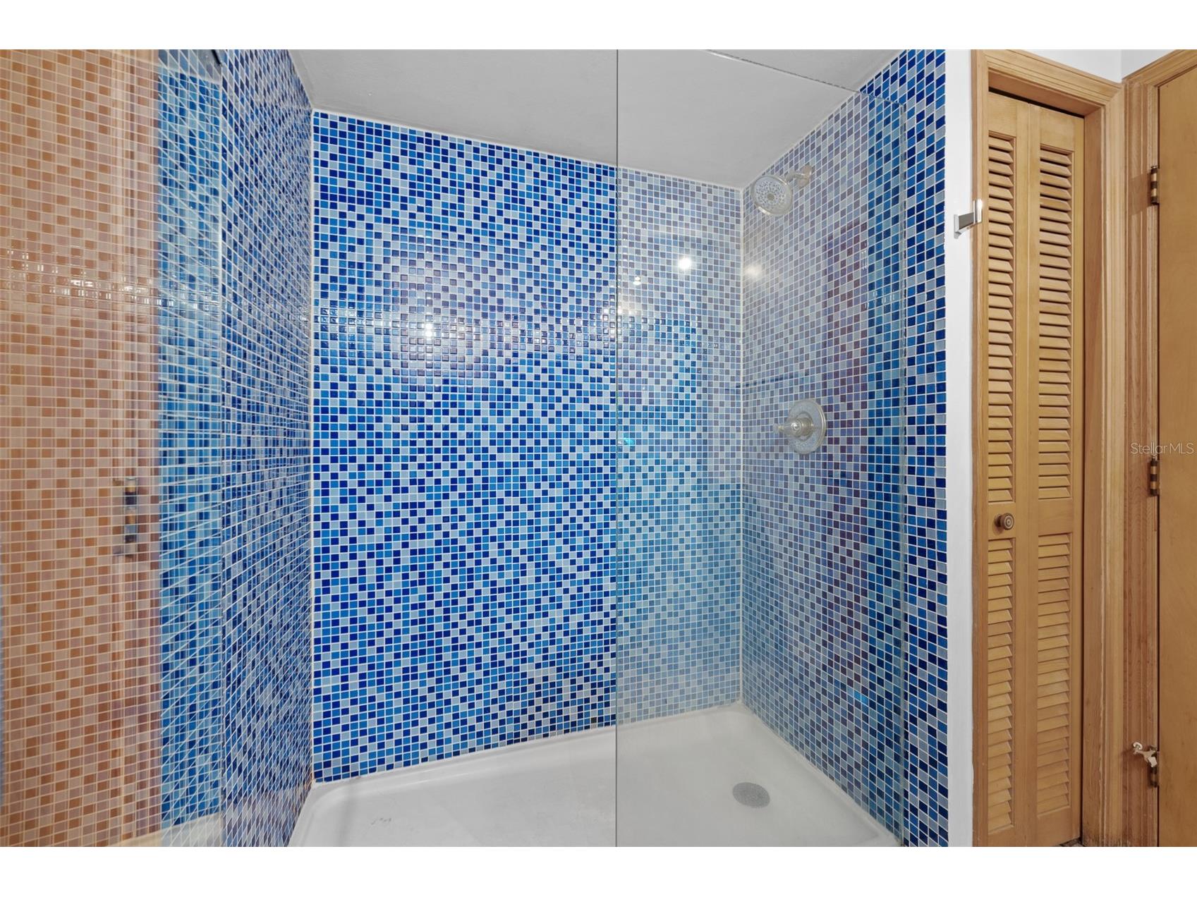 1550 Chateau Wood Drive Clearwater FL 33764 TB8495817 image25