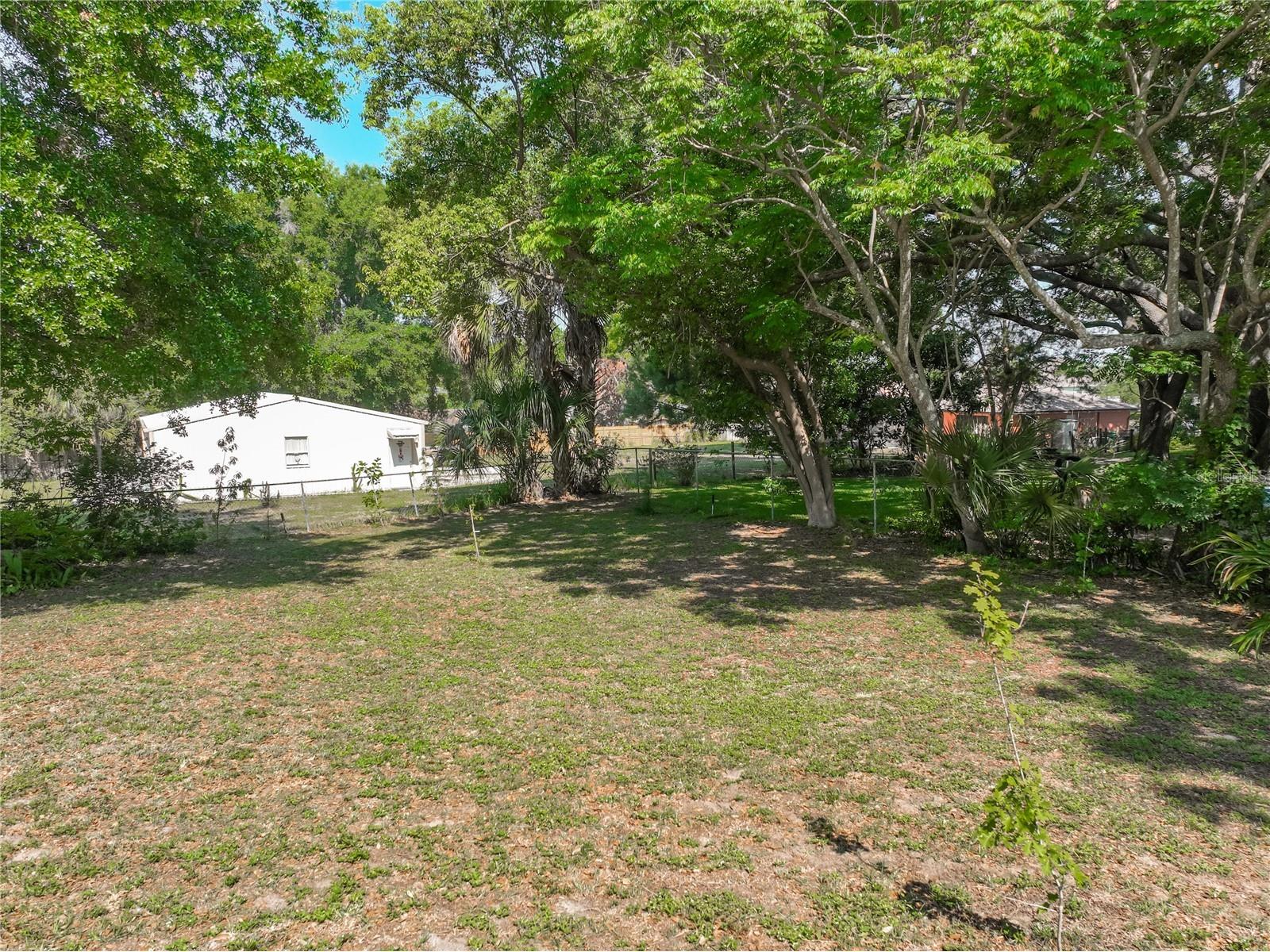 1550 Coluso Drive Winter Garden FL 34787 O6404758 image57
