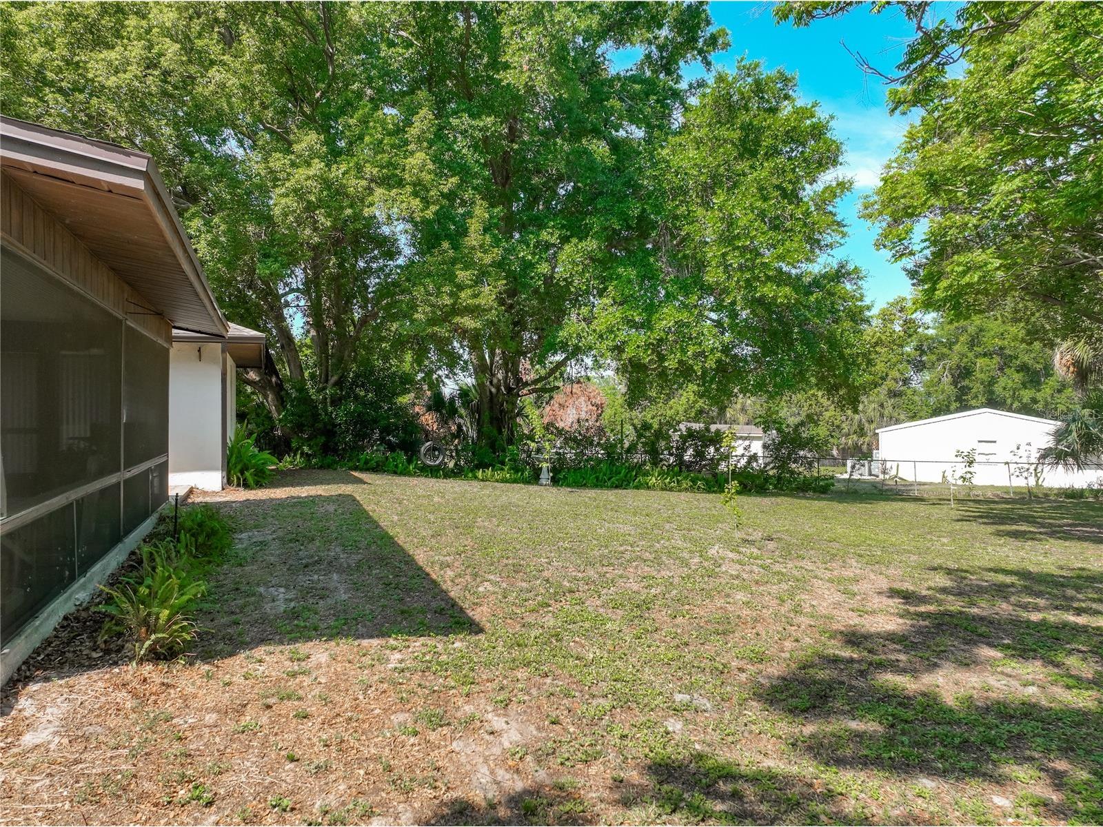 1550 Coluso Drive Winter Garden FL 34787 O6404758 image58
