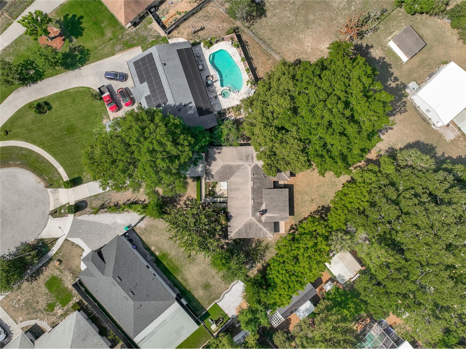 1550 Coluso Drive Winter Garden FL 34787 O6404758 image62