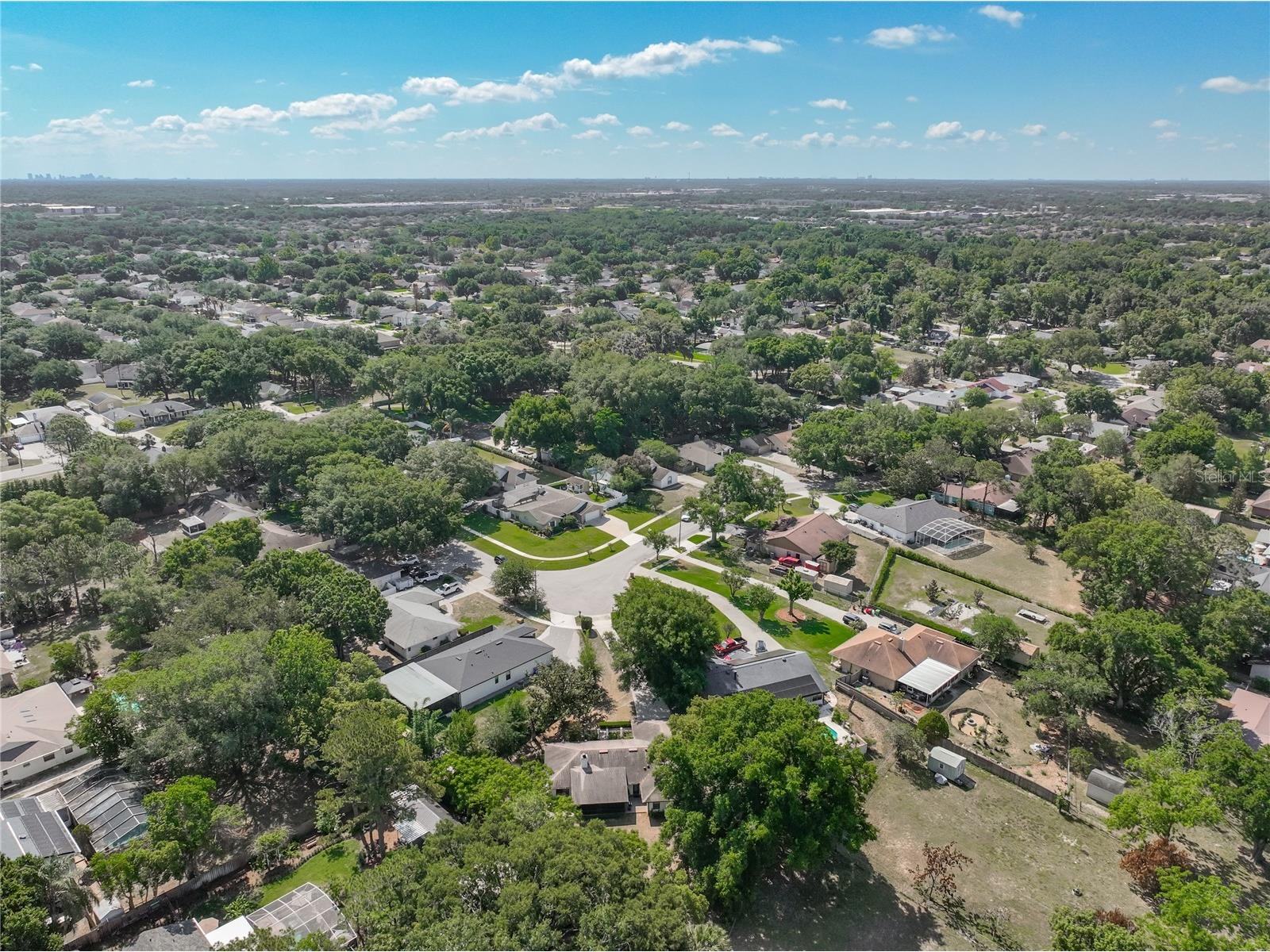1550 Coluso Drive Winter Garden FL 34787 O6404758 image63