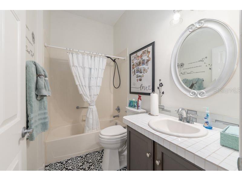 1550 Lime Grove Lane The Villages FL 32162 OM720205 image15