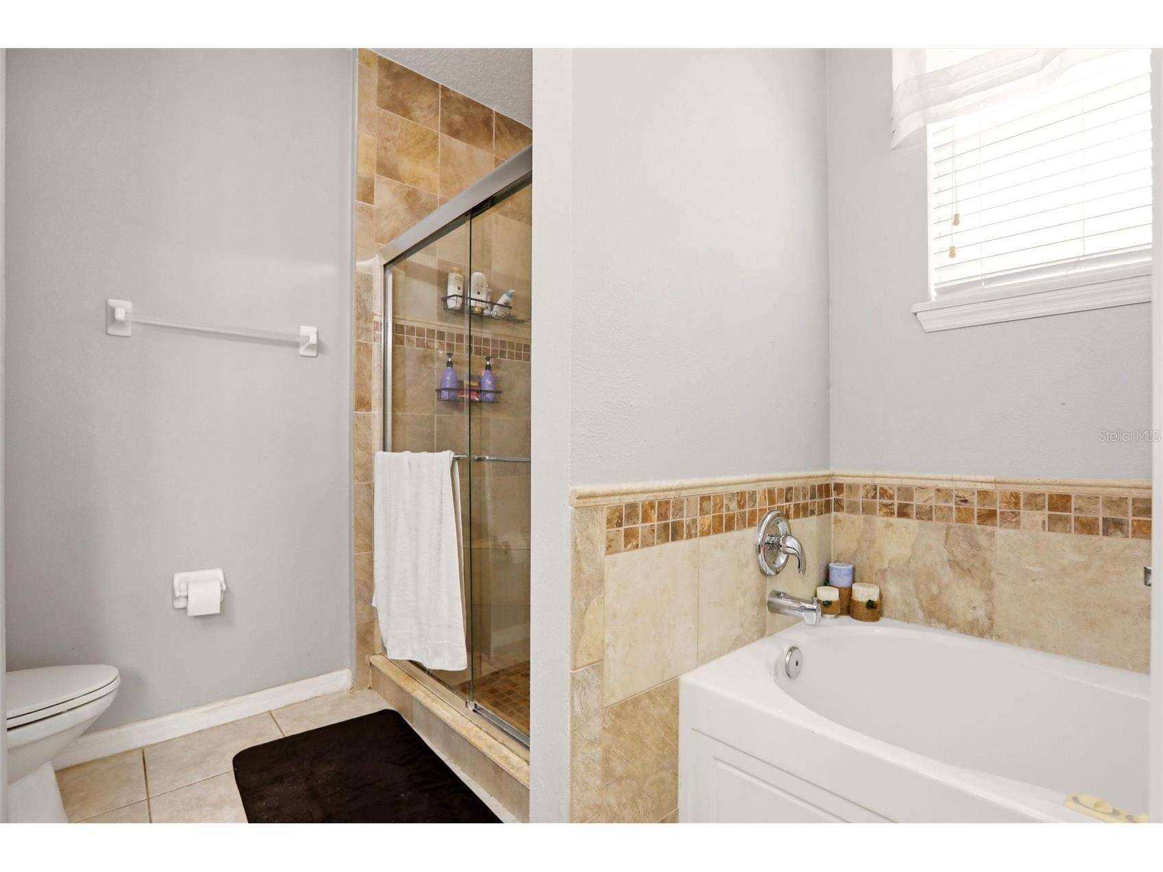 1550 Madison Ivy Circle Apopka FL 32712 O6400925 image13