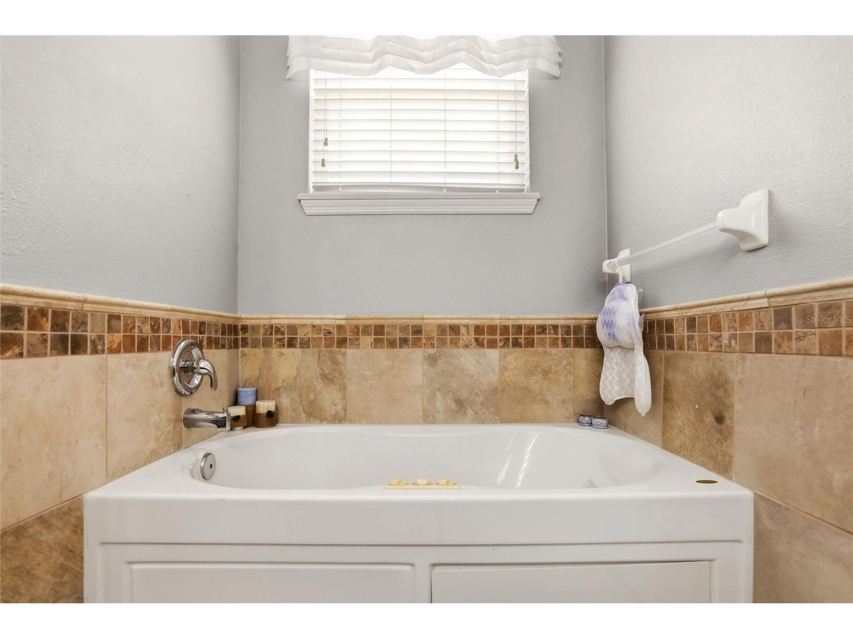 1550 Madison Ivy Circle Apopka FL 32712 O6400925 image14