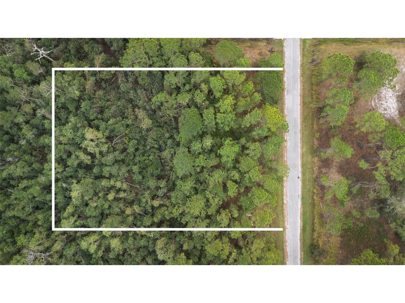 1550 Marlin Drive Kissimmee FL 34759 O6282686 image1