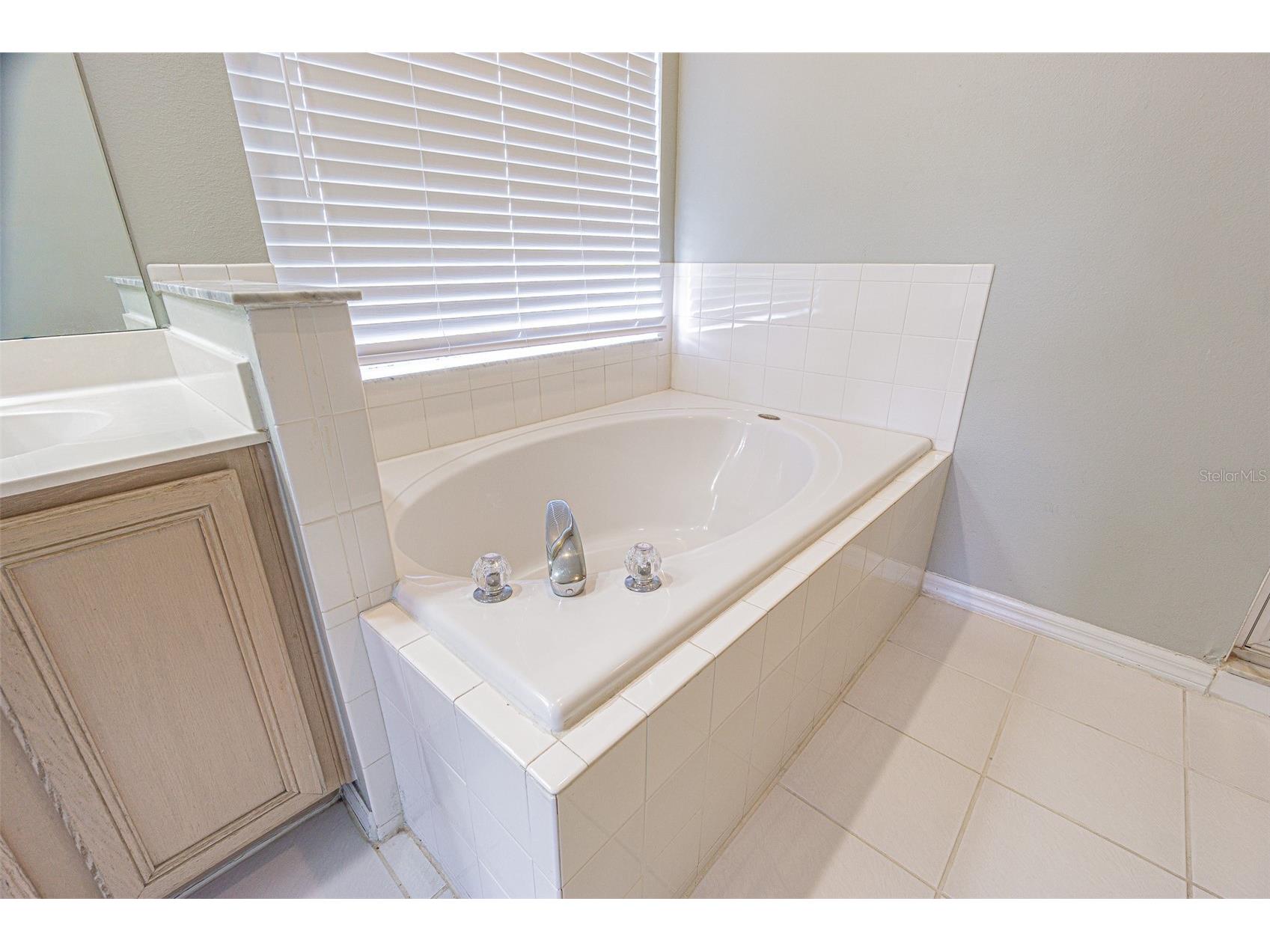 1550 Maximilian Drive Wesley Chapel FL 33543 TB8517355 image19